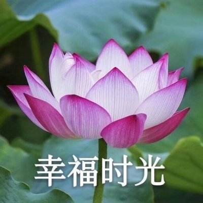 倚天记之明教传说最新版游戏下载