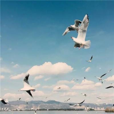 星海舰队游戏下载